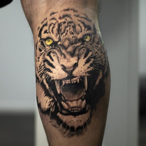 Realistische tijger op kuit tattoo met kleurogen