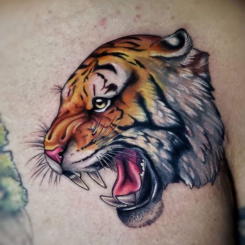 Kleuren tattoo van tijger neo traditional style Molly