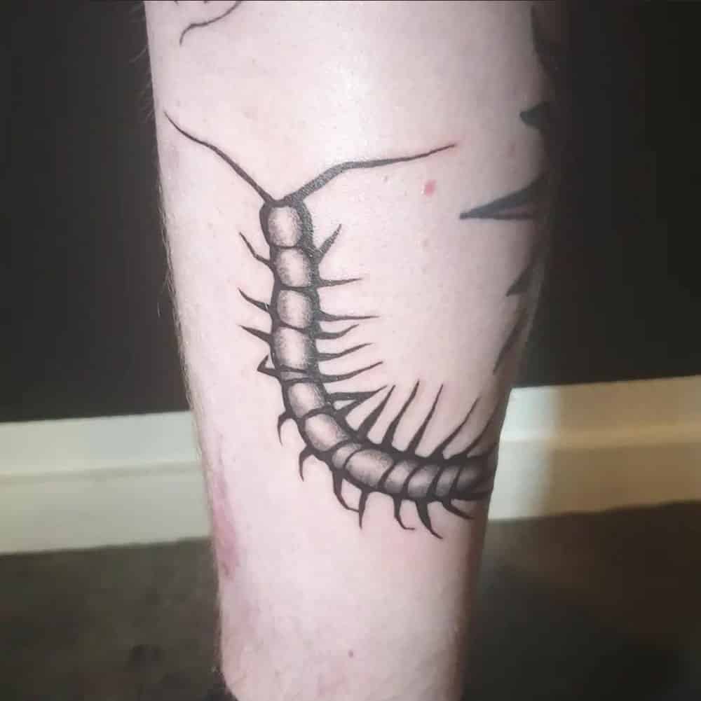 Centipede duizendpoot blackwork tattoo Sem