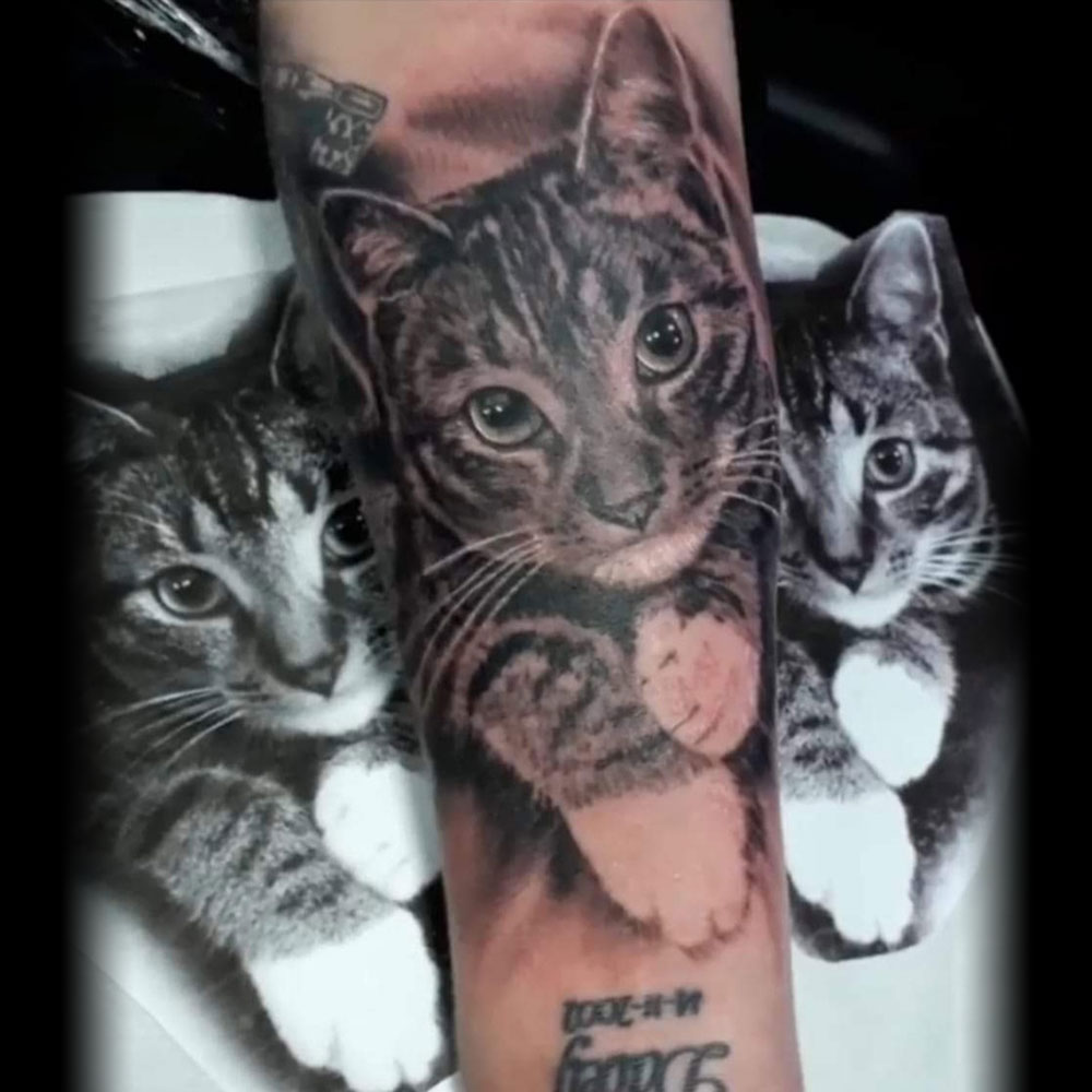 Huisdier kat realistische tattoo Declan