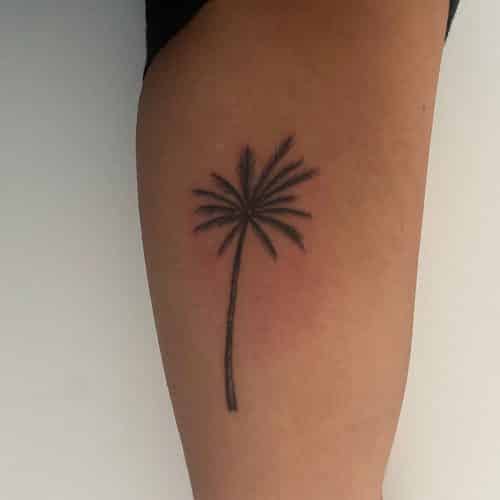 Palmboom tattoo