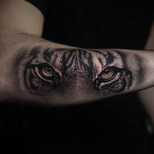 tigerarm outside
